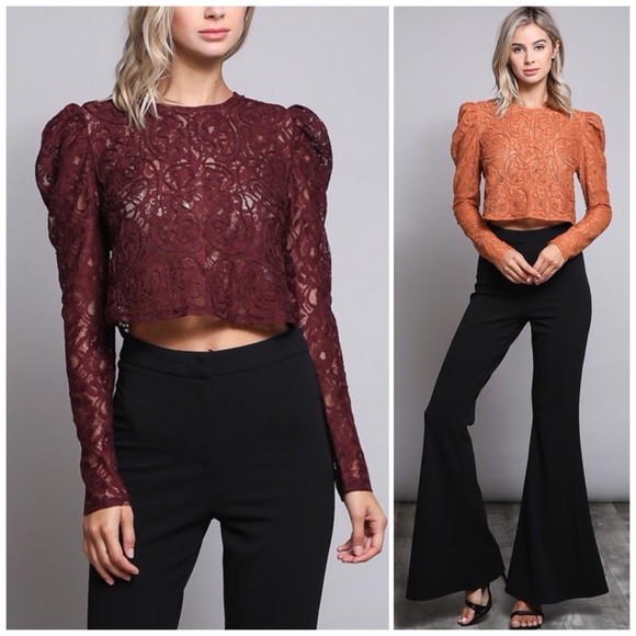 ❗️CLOSING SALE❗️ Ox Blood Jacquard Lace Crop Top - Picture 1 of 3